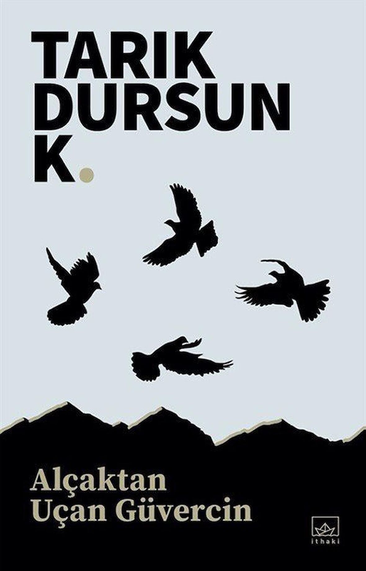 Alçaktan Uçan Güvercin / Tarık Dursun K.