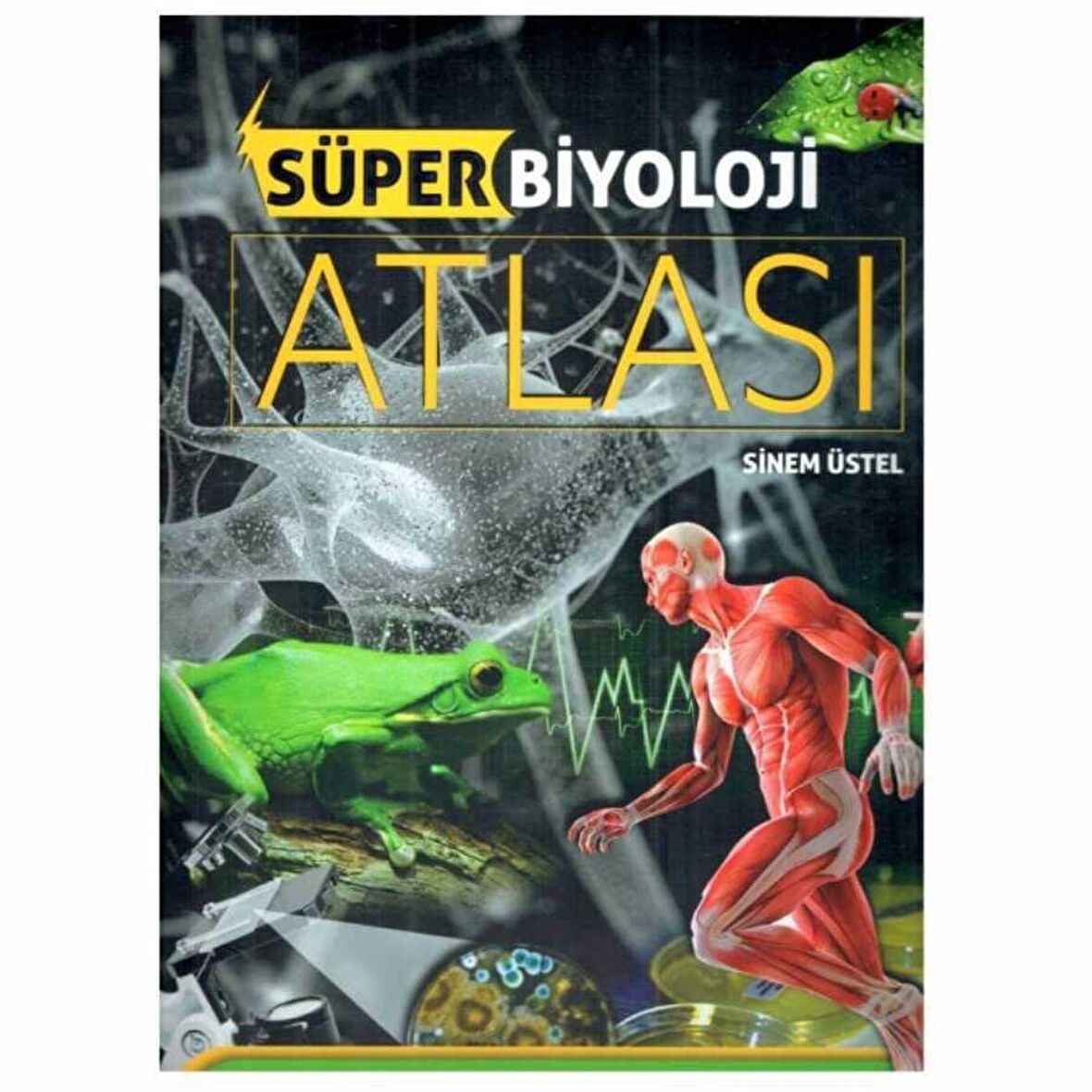 Süper Biyoloji Atlası