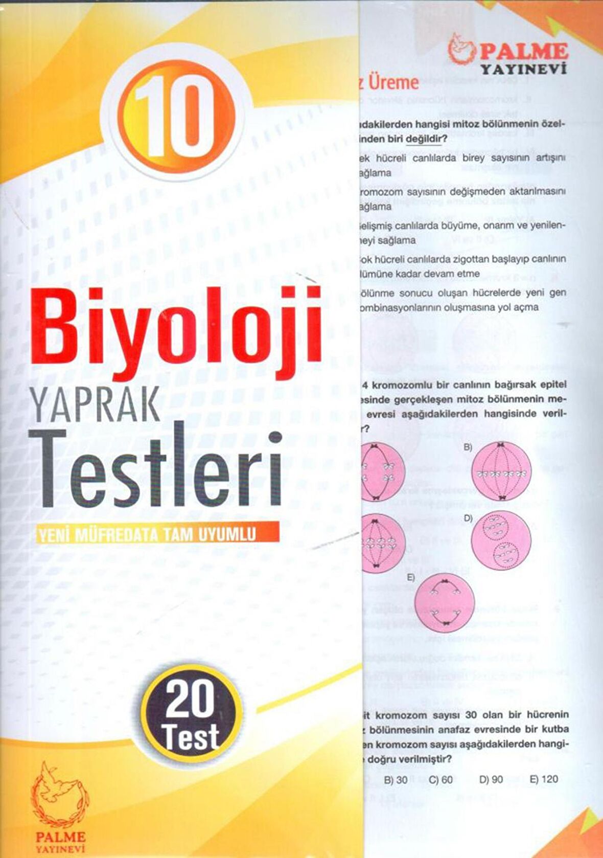 Palme 10.Sınıf Biyoloji Yaprak Test