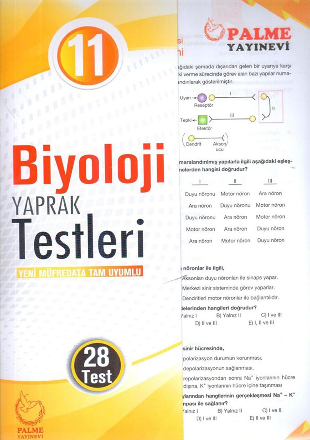 Palme 11. Sınıf Biyoloji Yaprak Test (Yeni)