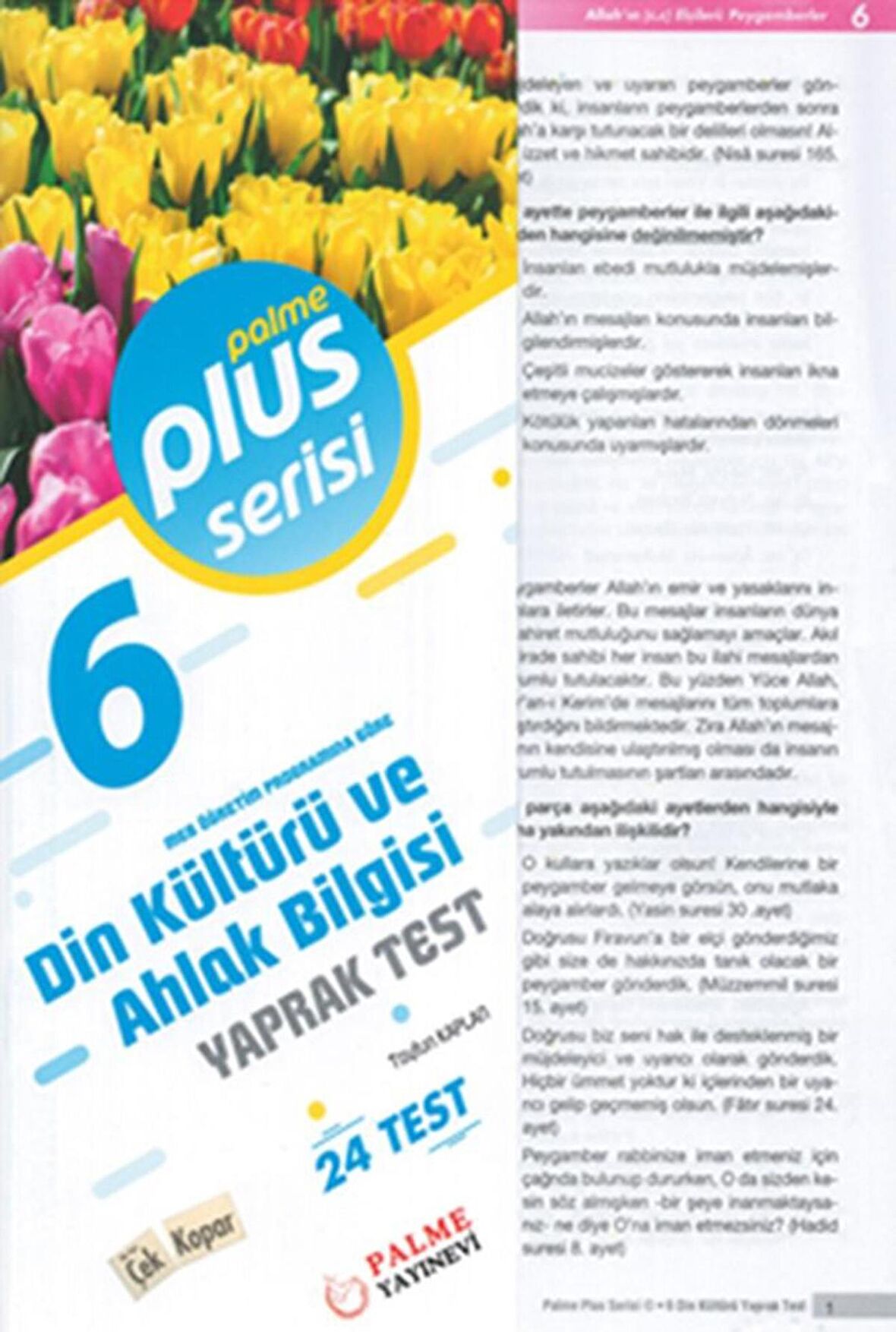 6. Sınıf Plus Serisi Din Kültürü ve Ahlak Bilgisi Yaprak Test