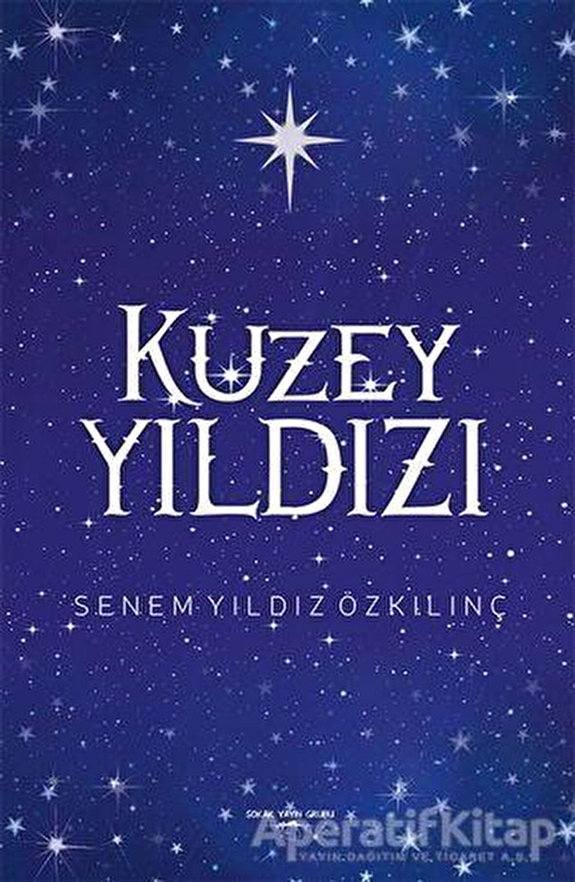 Kuzey Yıldızı