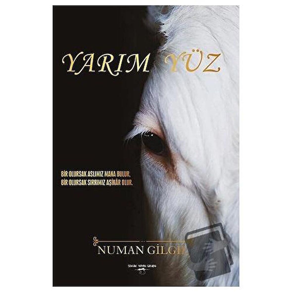 Yarım Yüz