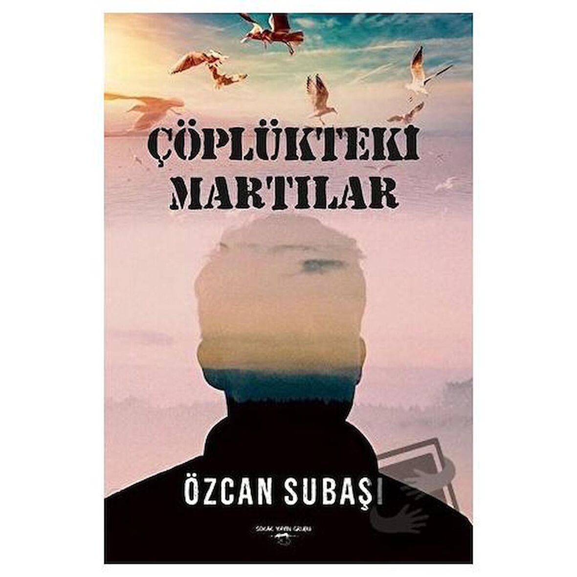 Çöplükteki Martılar