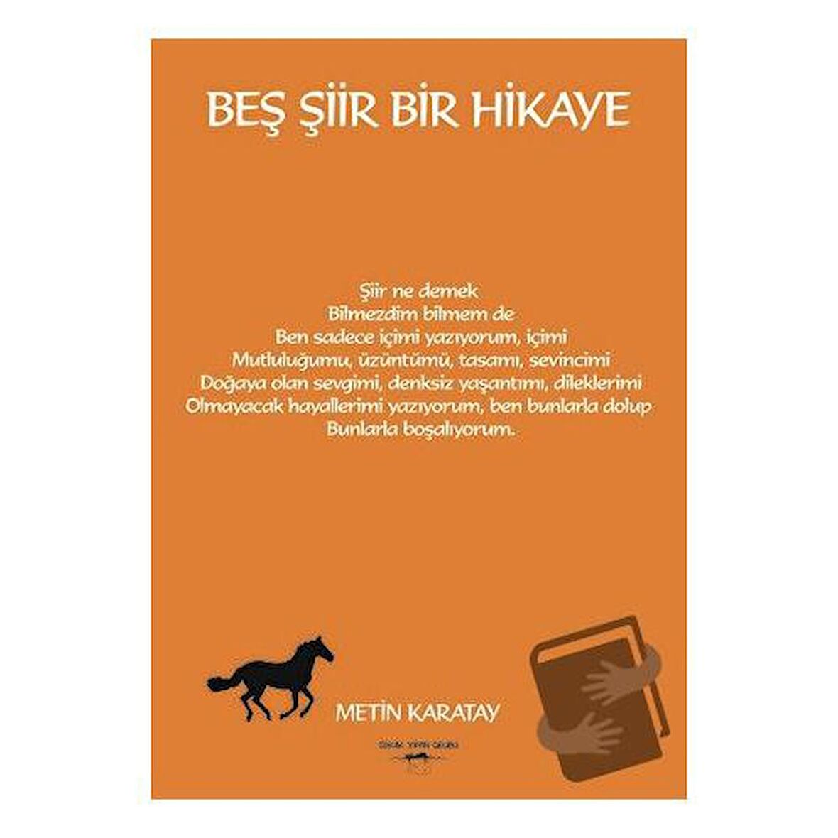 Beş Şiir Bir Hikaye