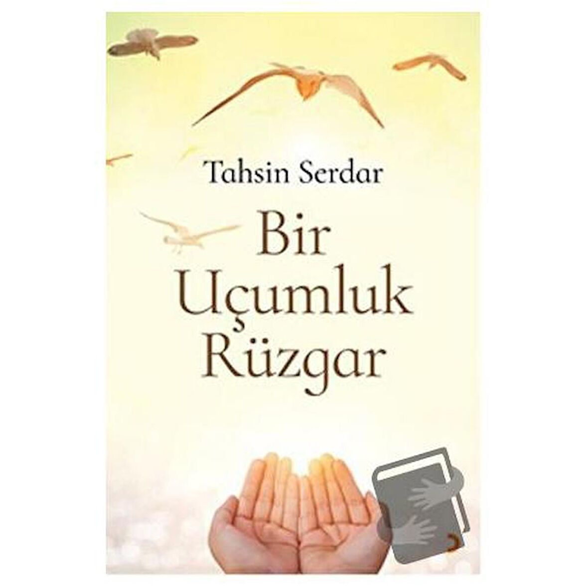 Bir Uçumluk Rüzgar