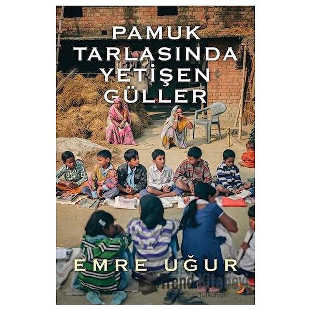 Pamuk Tarlasında Yetişen Güller
