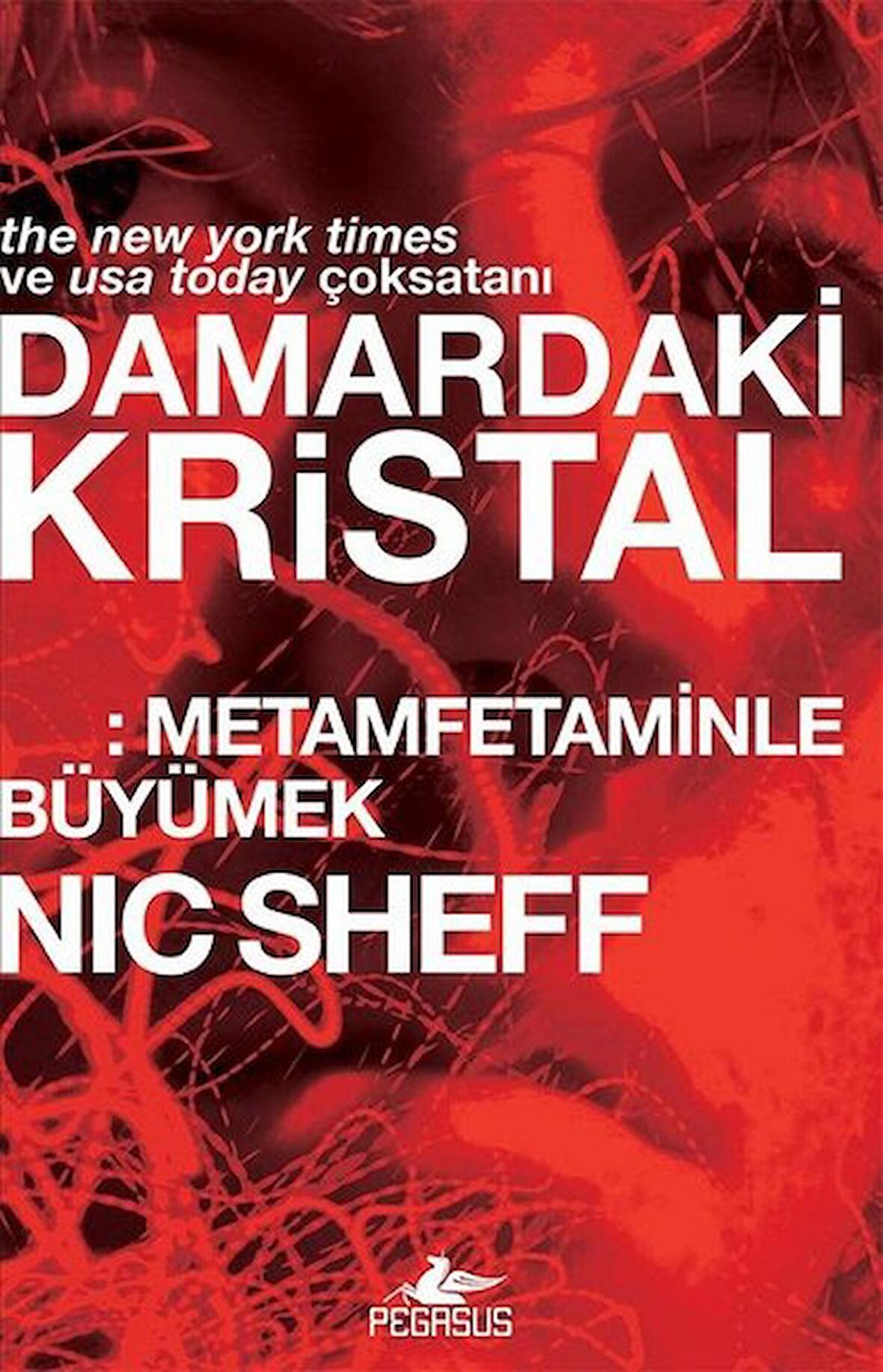 Damardaki Kristal: Metamfetaminle Büyümek