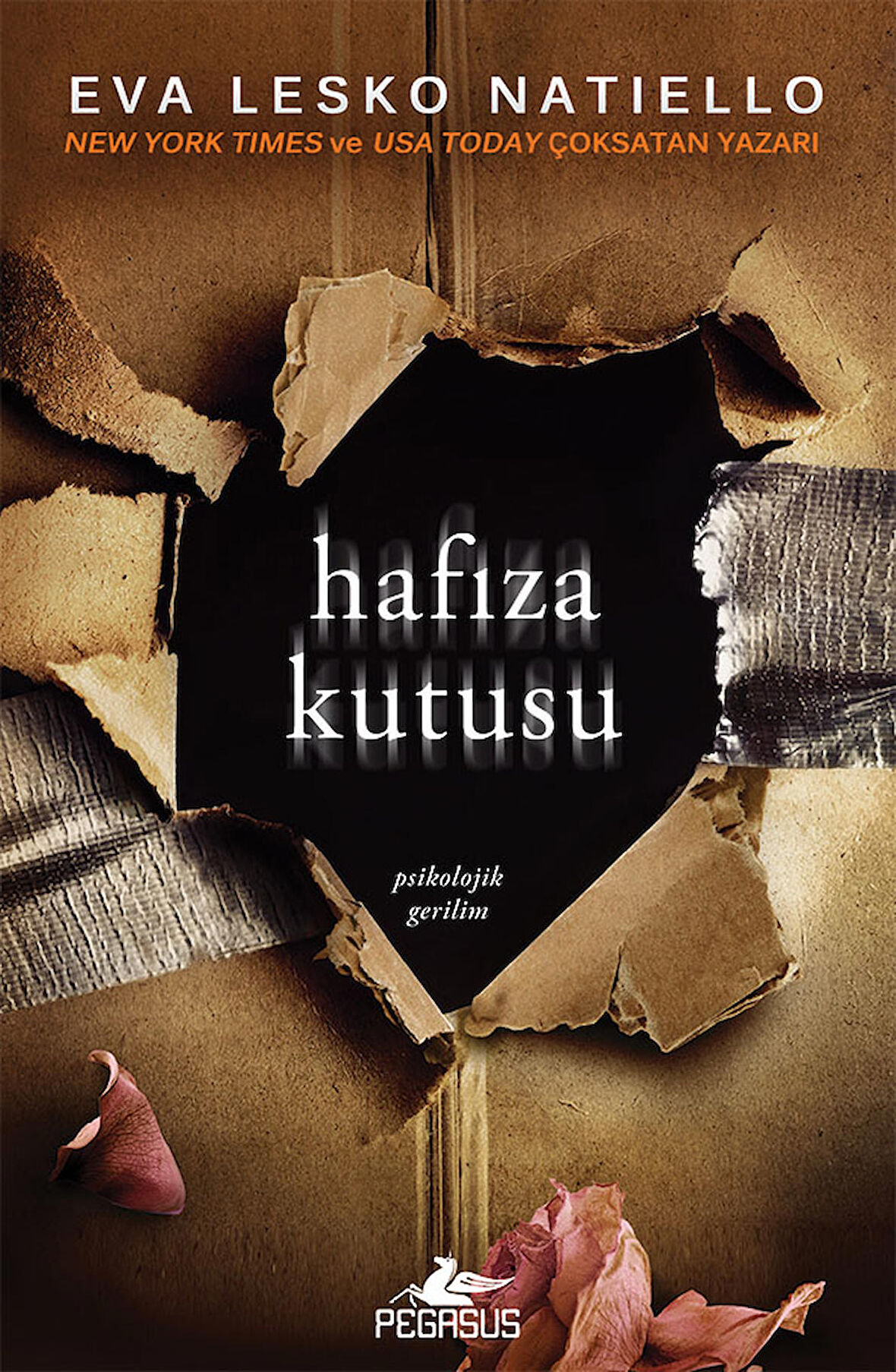 Hafıza Kutusu