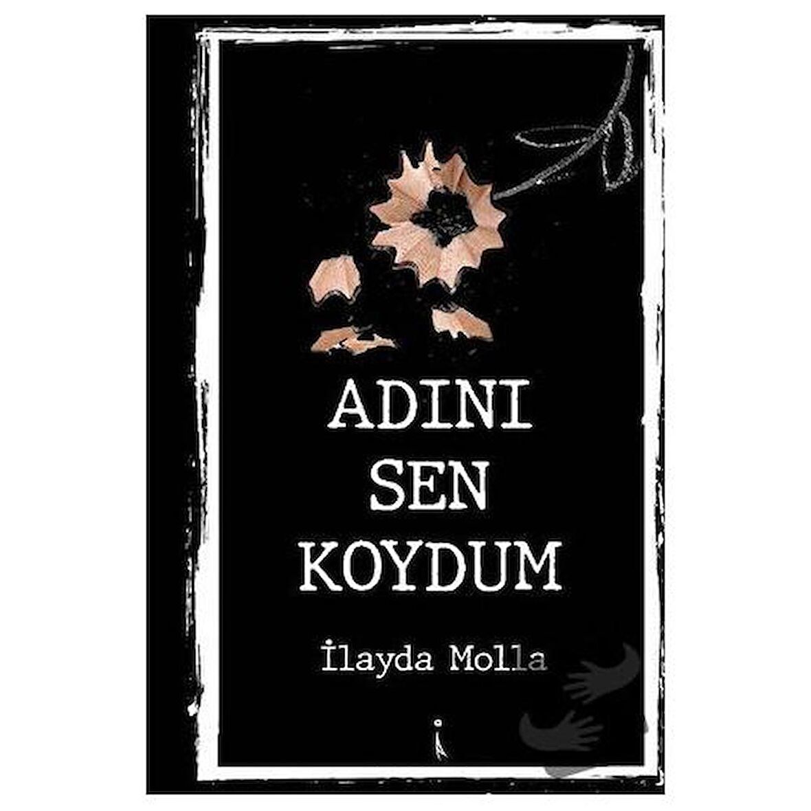 Adını Sen Koydum