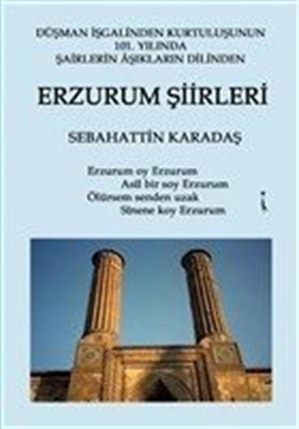 Erzurum Şiirleri