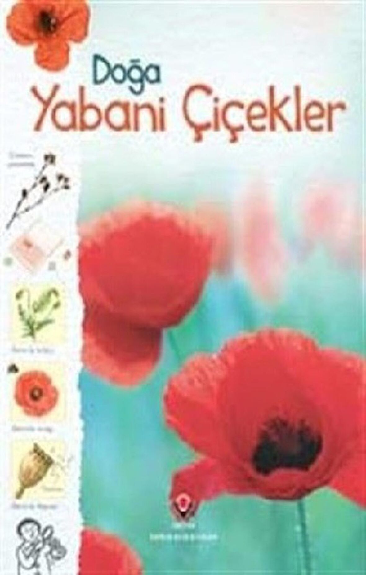 Doğa - Yabani Çiçekler