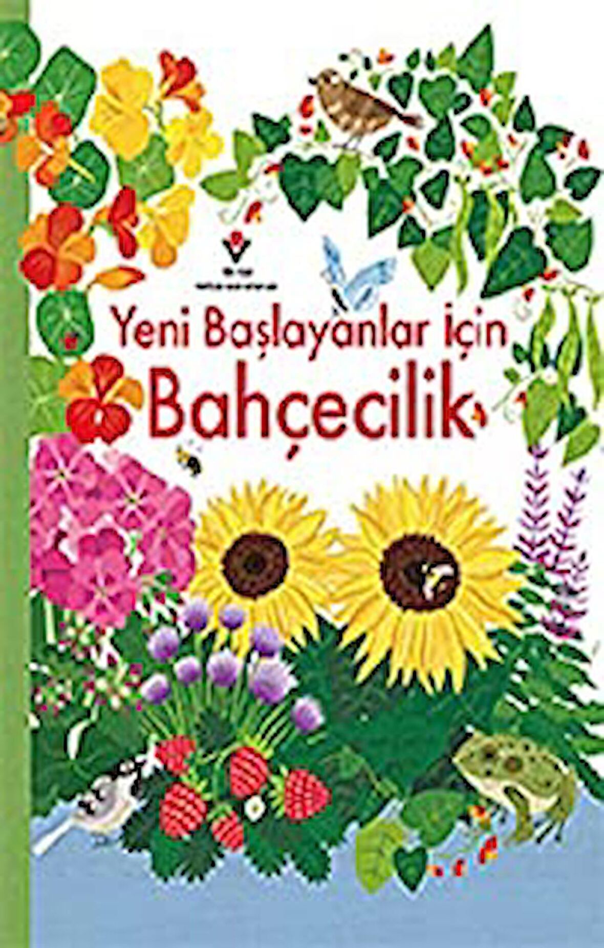 Yeni Başlayanlar İçin Bahçecilik