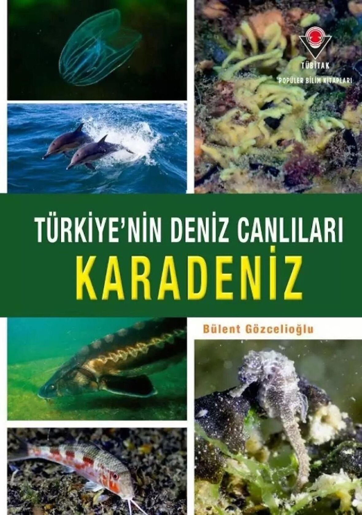 Türkiyemp#039nin Deniz Canlıları - Karadeniz