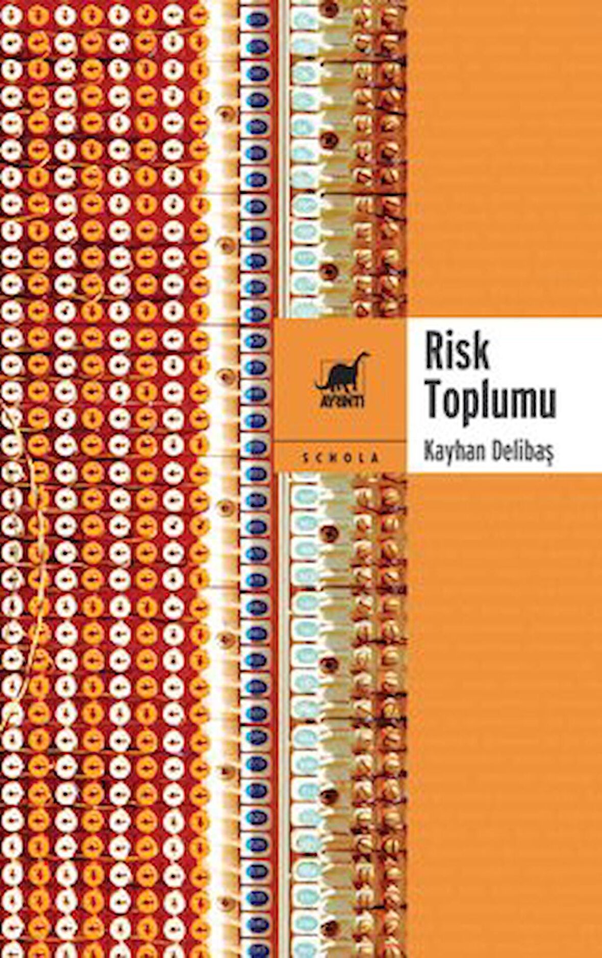 Risk Toplumu