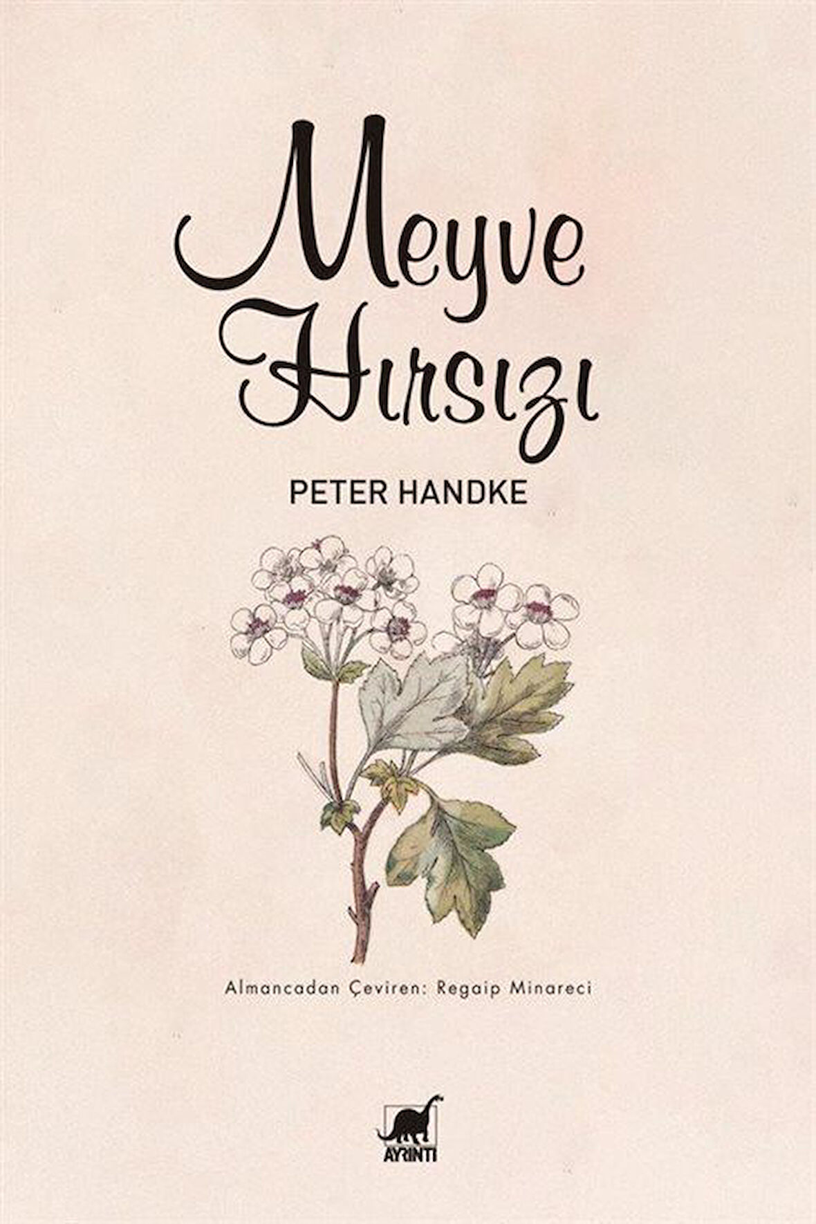 Meyve Hırsızı / Peter Handke