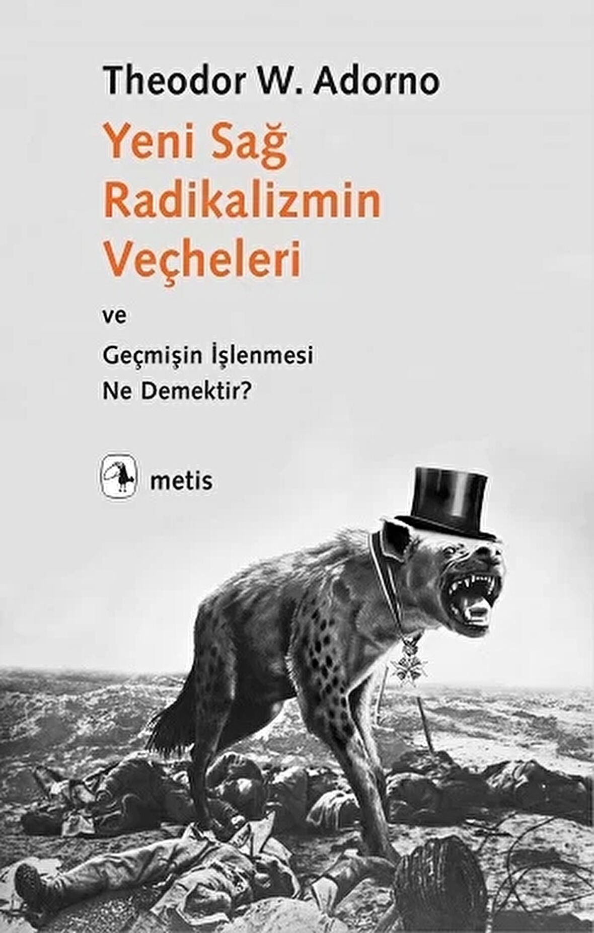 Yeni Sağ Radikalizmin Veçheleri ve Geçmişin İşlenmesi Ne Demektir ?