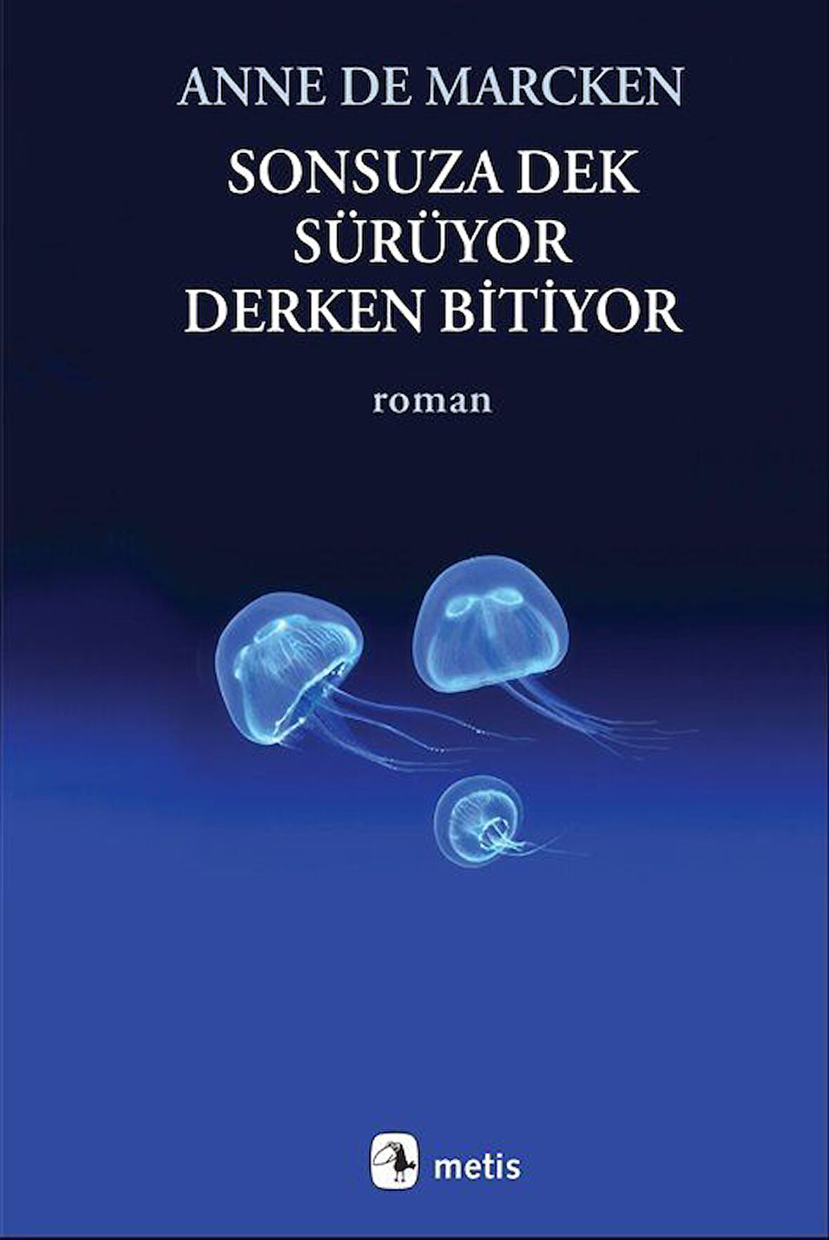 Sonsuza Dek Sürüyor, Derken Bitiyor / Anne de Marcken