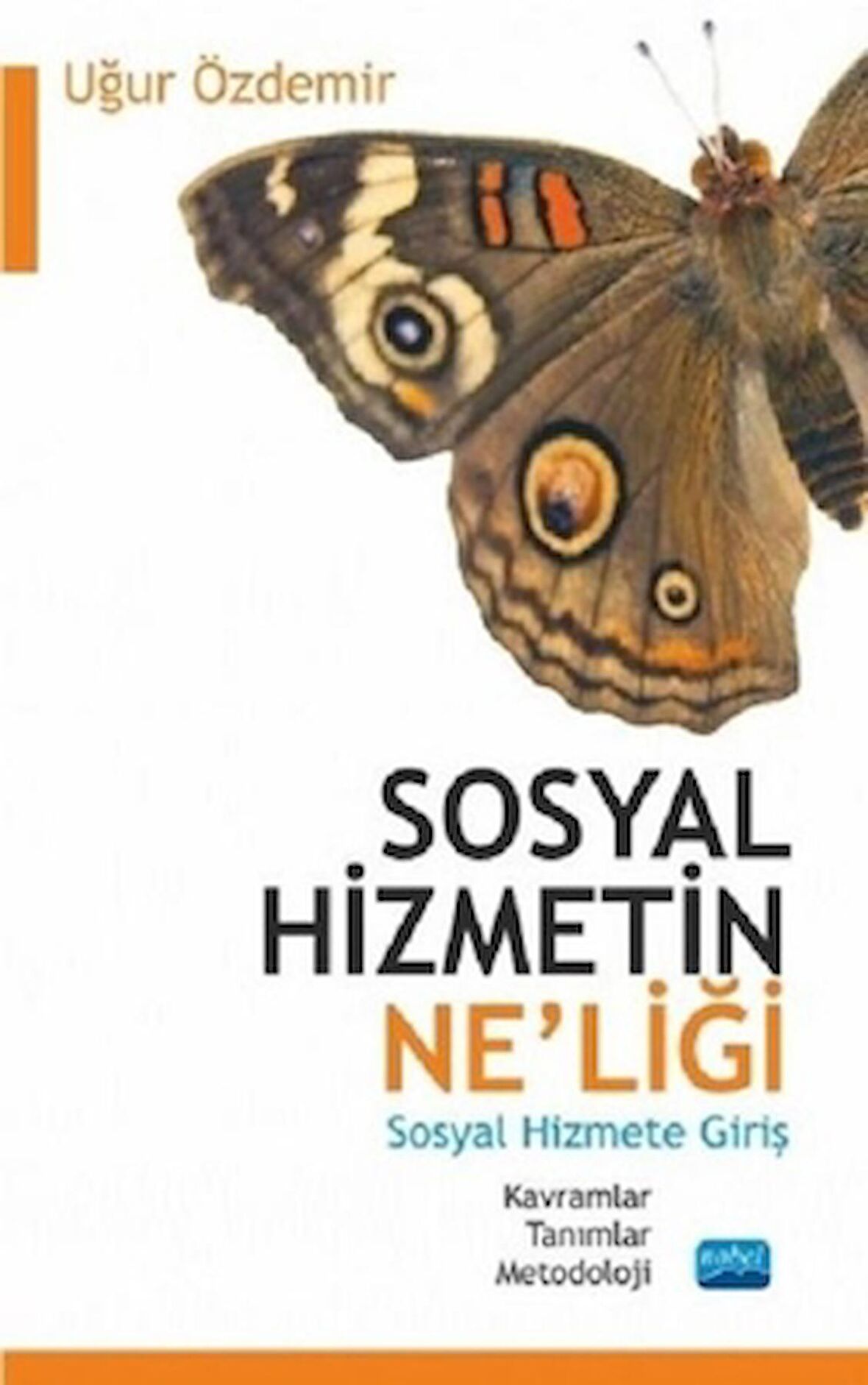 Sosyal Hizmetin Ne'liği - Sosyal Hizmete Giriş