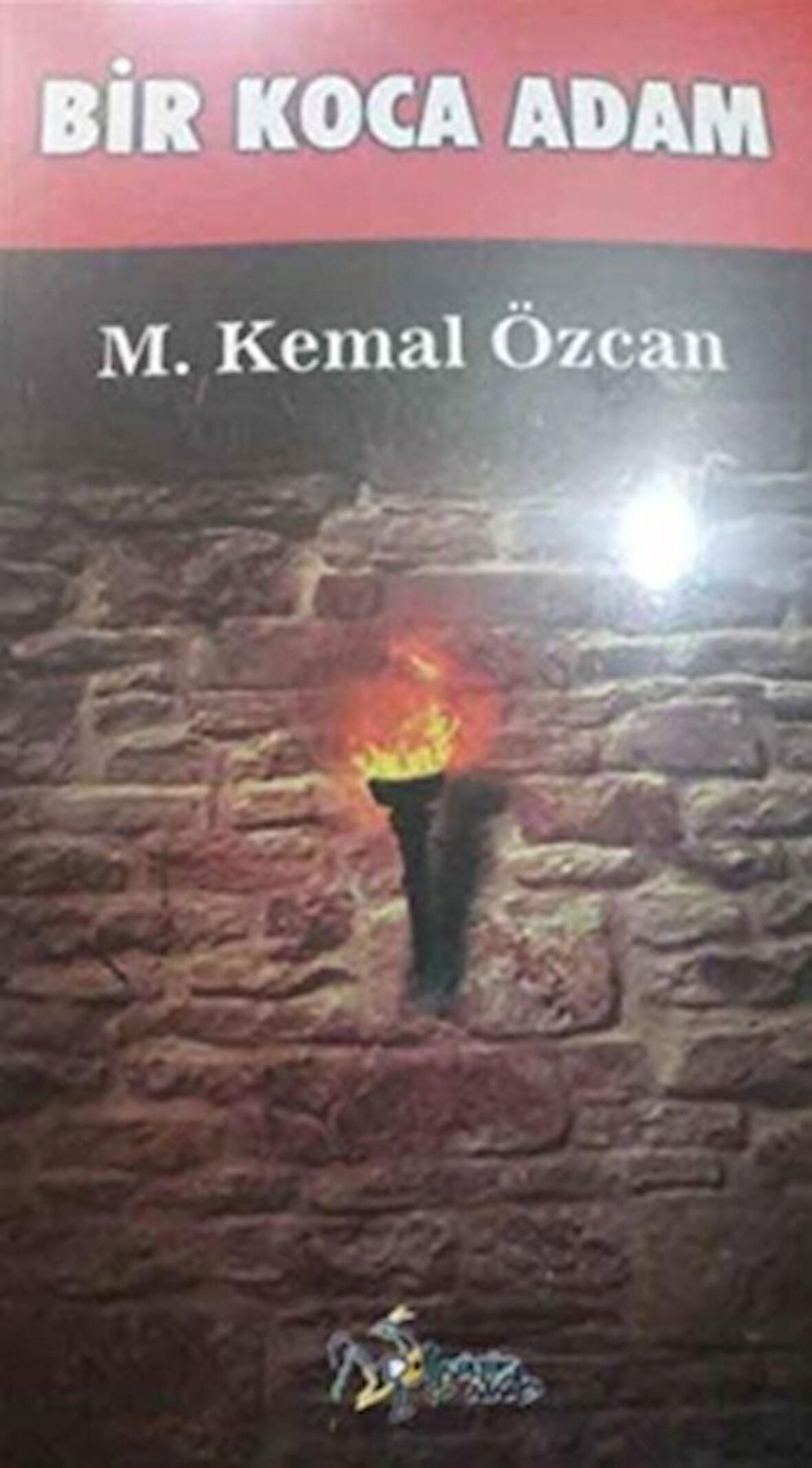 Bir Koca Adam