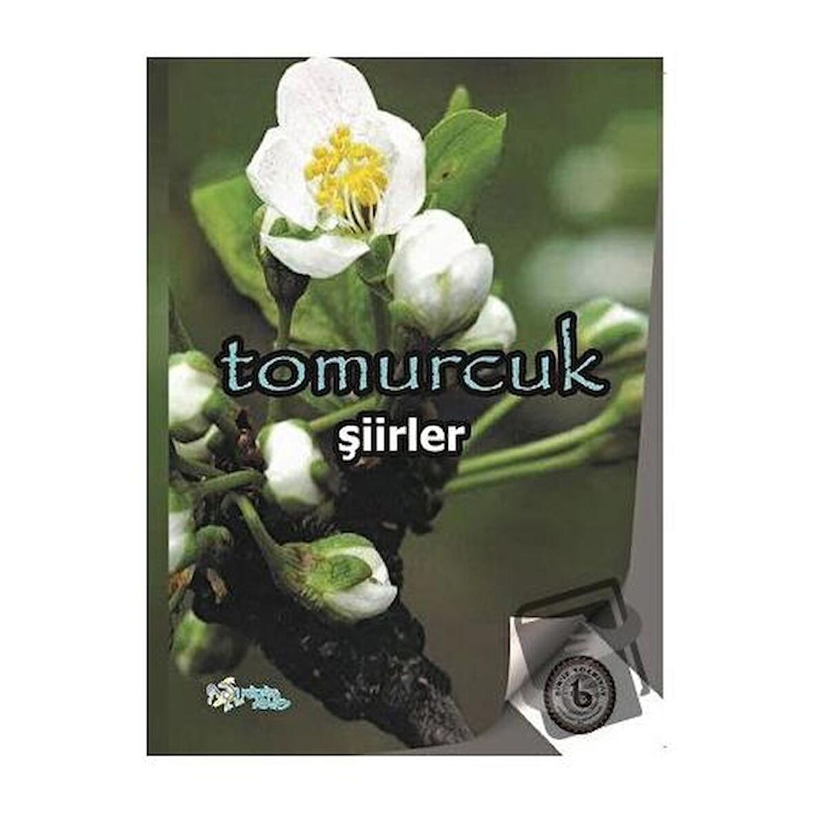 Tomurcuk