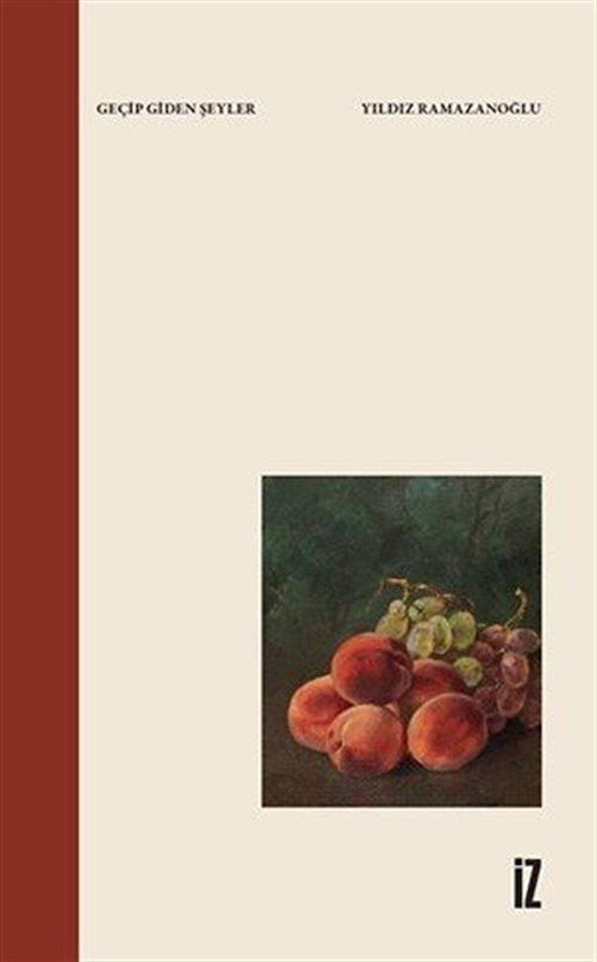 Geçip Giden Şeyler / Yıldız Ramazanoğlu