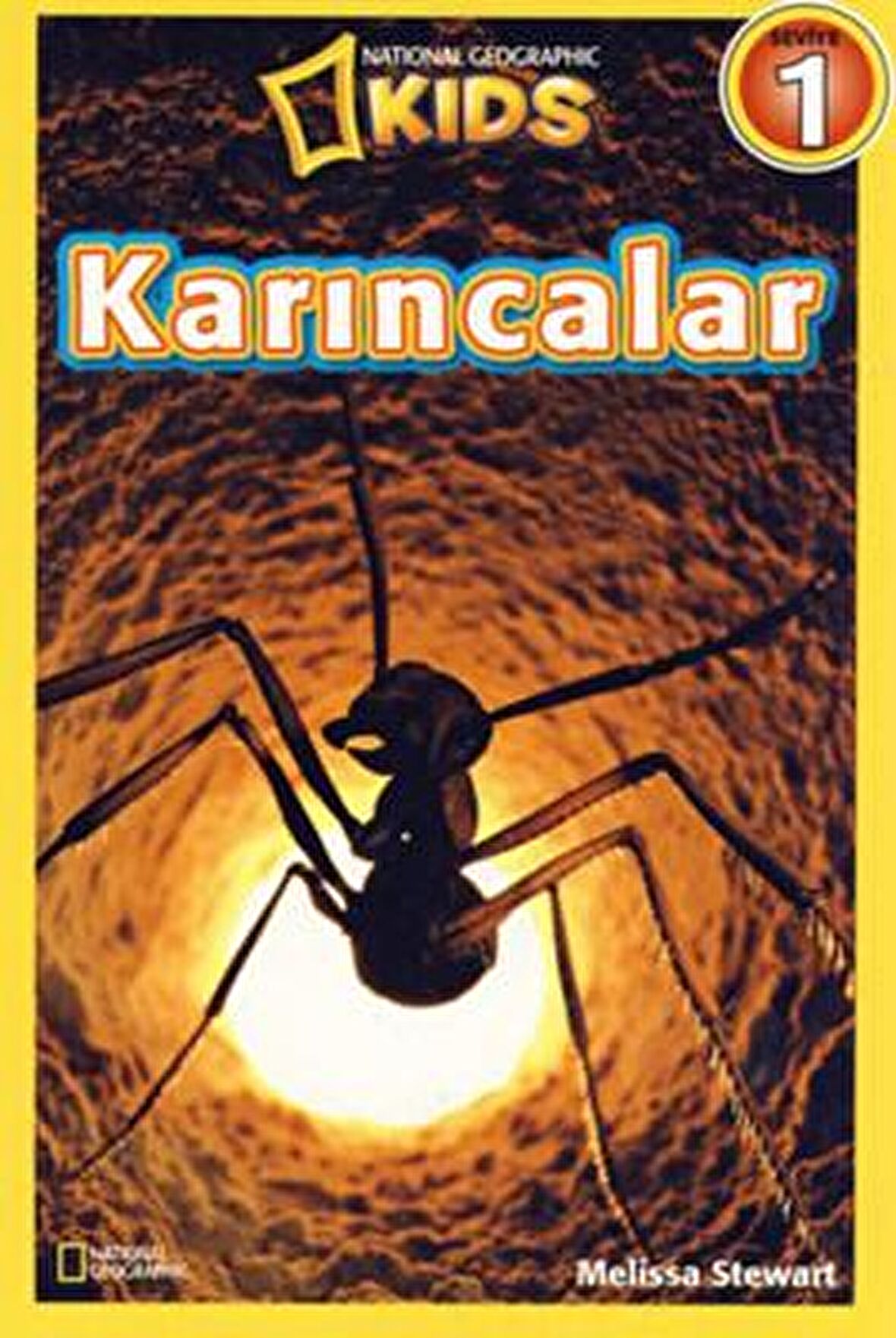 Karıncalar - Seviye 1