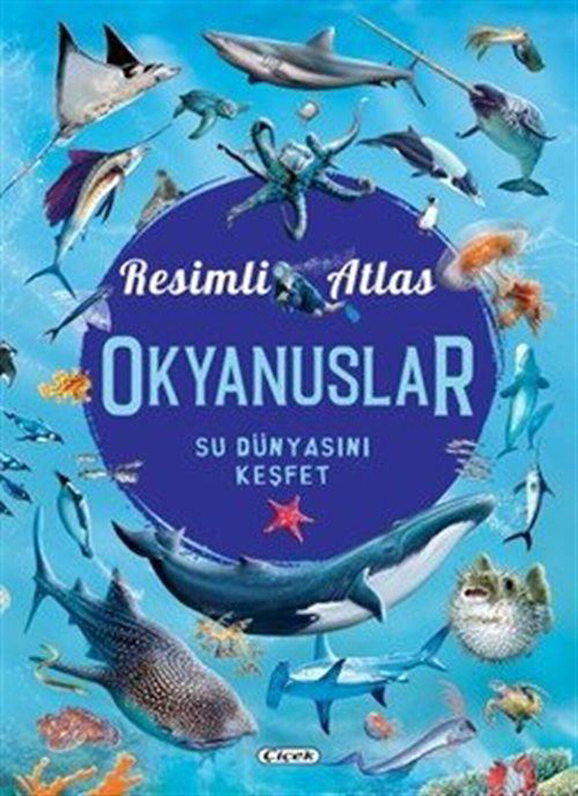Resimli Atlas Okyanuslar / Consuelo Delgado