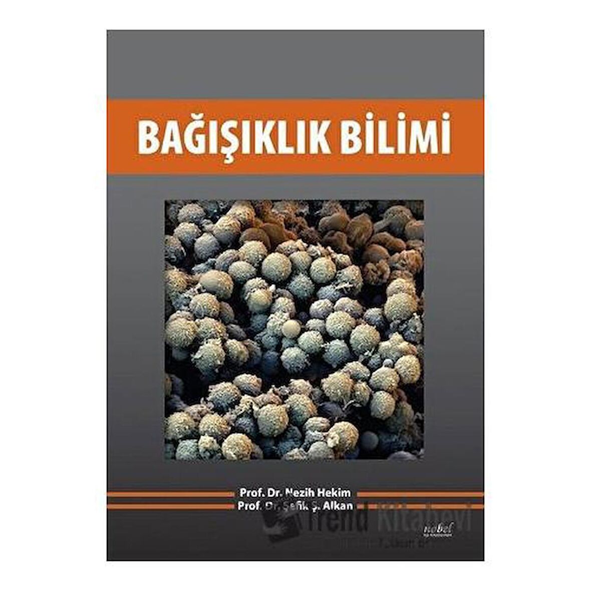 Bağışıklık Bilimi