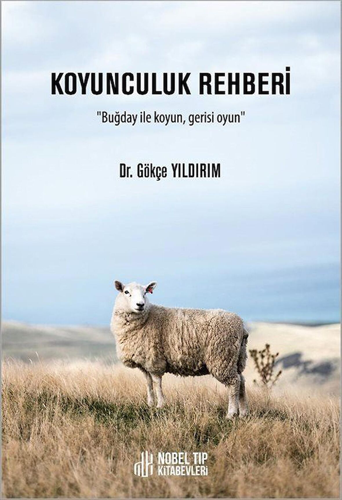 Koyunculuk Rehberi Buğday ile koyun, gerisi oyun / Dr. Gökçe Yıldırım