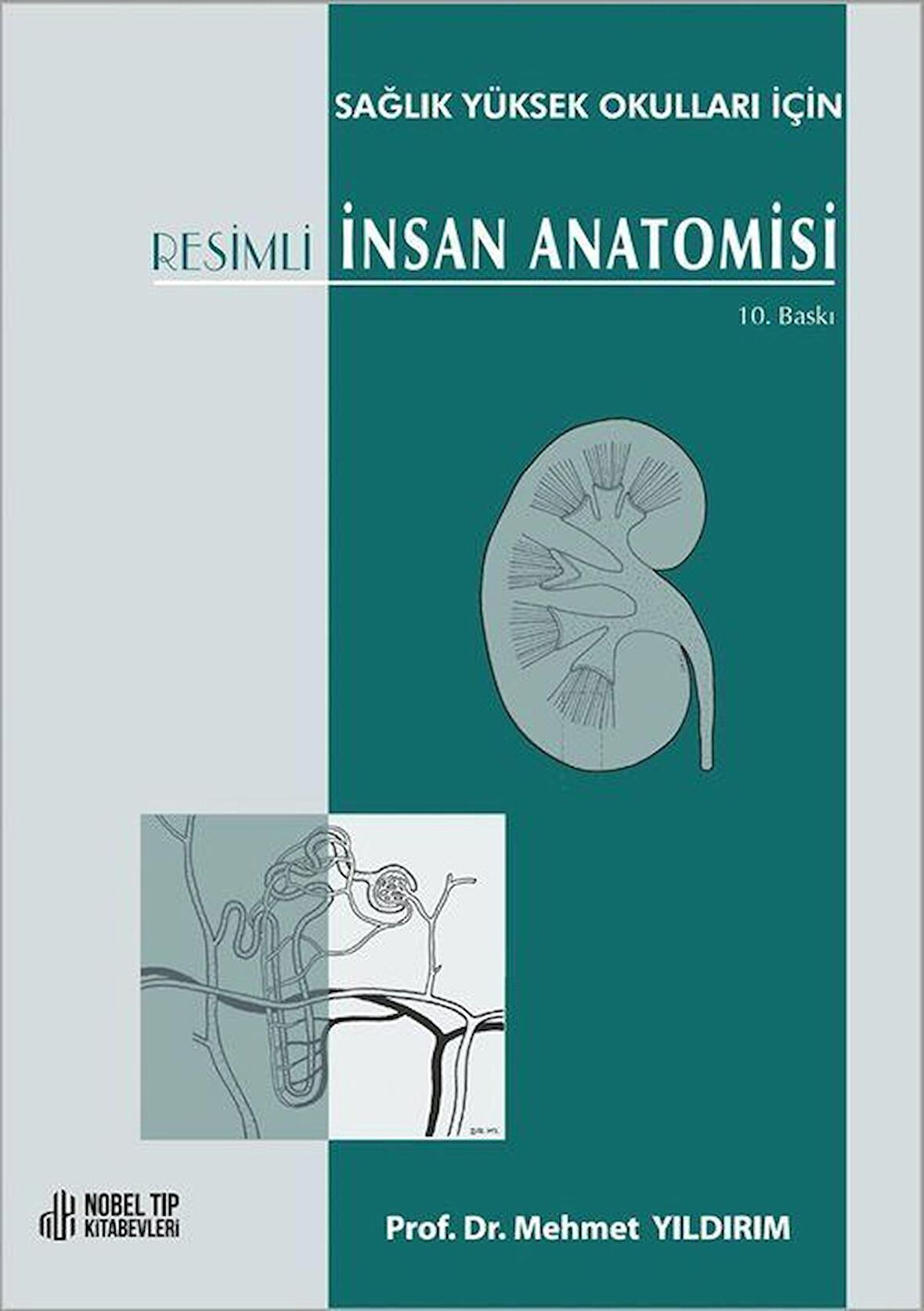 Sağlık Yüksek Okulları için Resimli İnsan Anatomisi