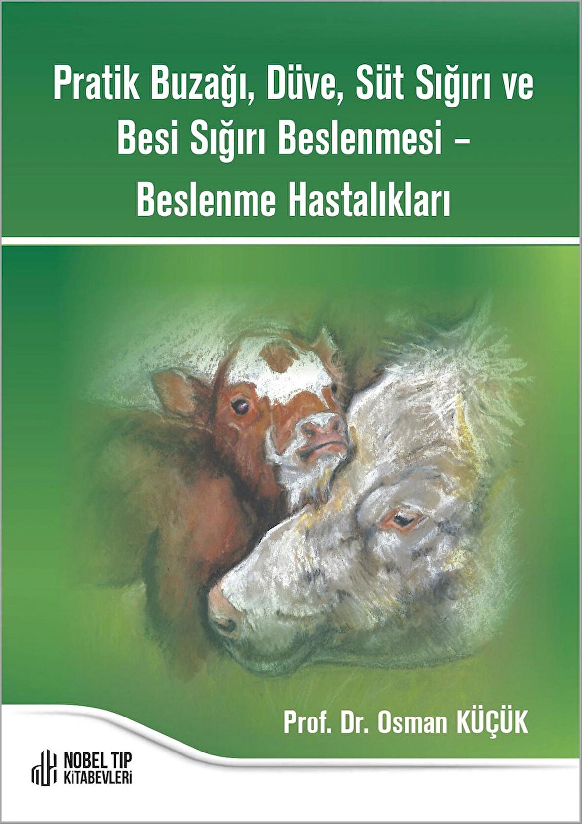 Pratik Buzağı, Düve, Süt Sığırı ve Besi Sığırı Beslenmesi – Beslenme Hastalıkları