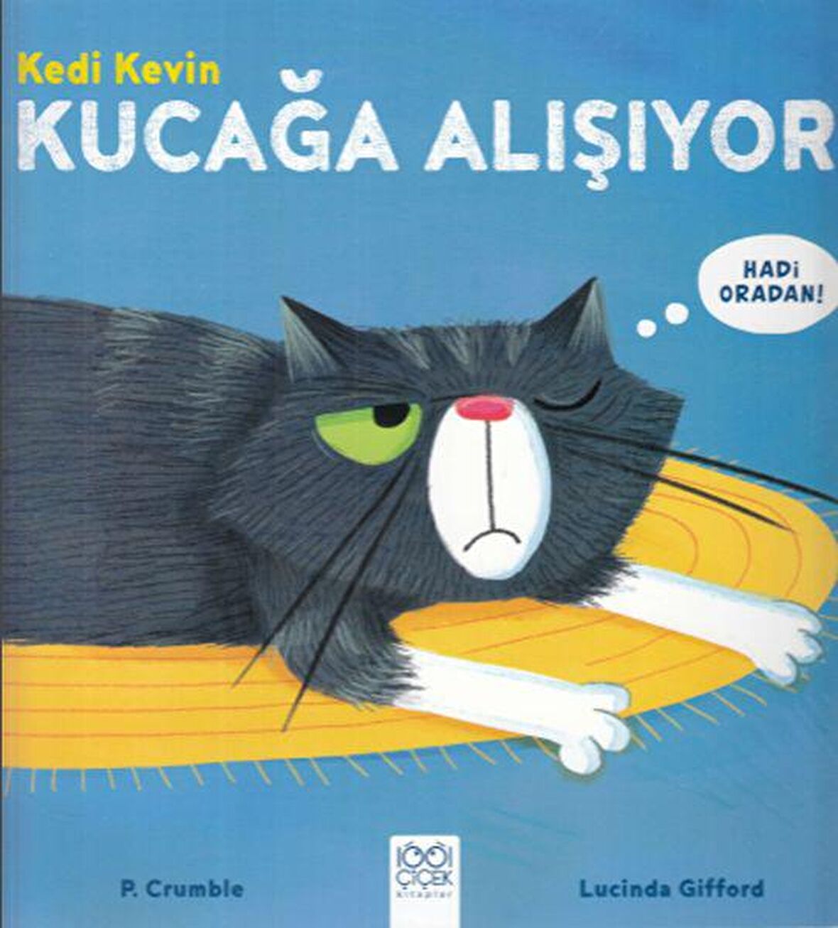 Kedi Kevin Kucağa Alışıyor