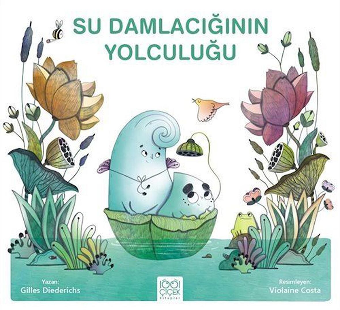 Su Damlacığının Yolculuğu / Gilles Diederichs