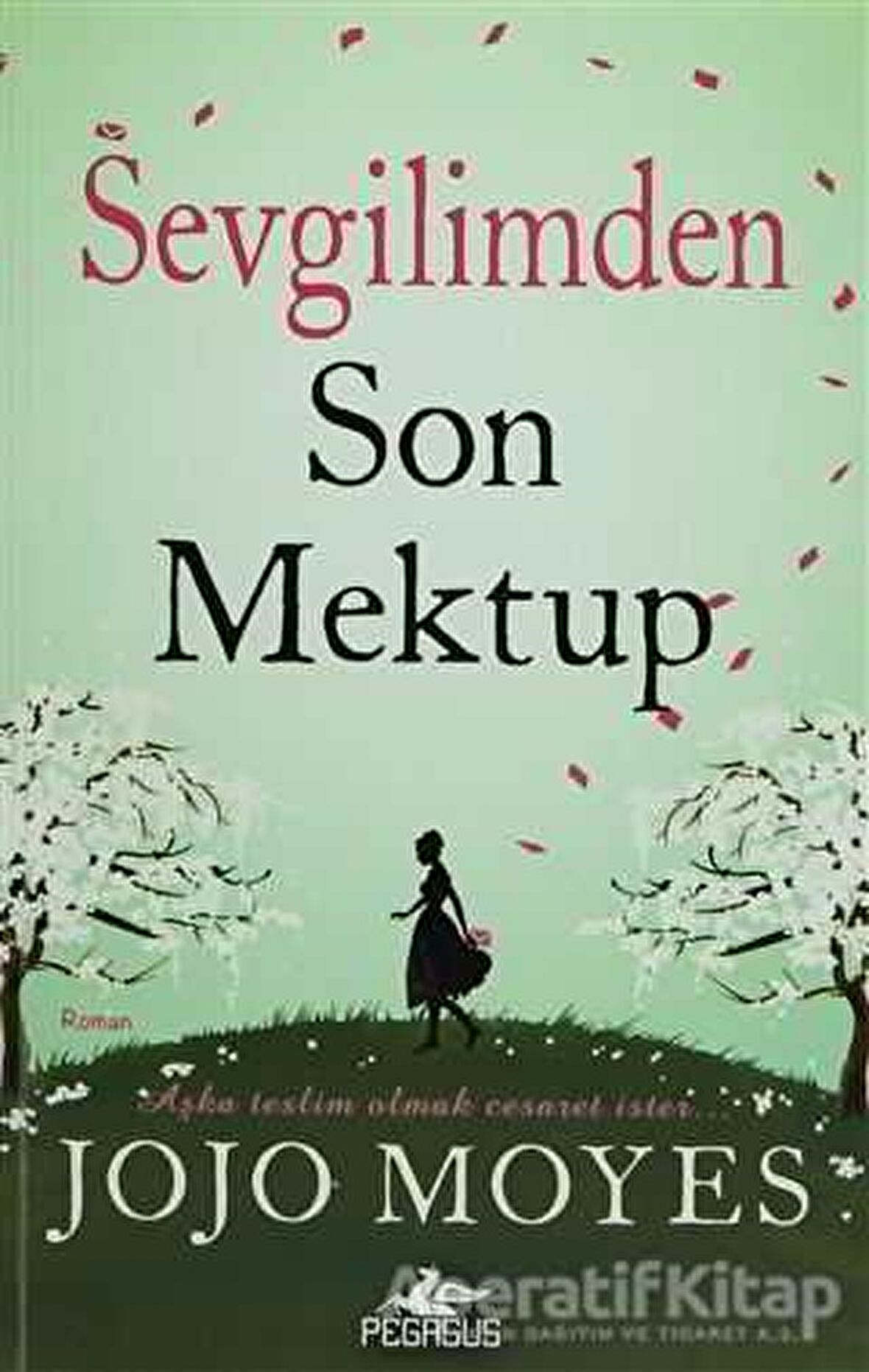 Sevgilimden Son Mektup