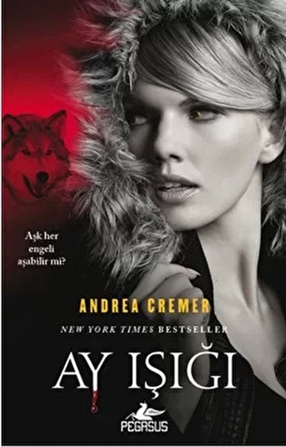 Ay Işığı - Silüet 3 - Andrea Cremer