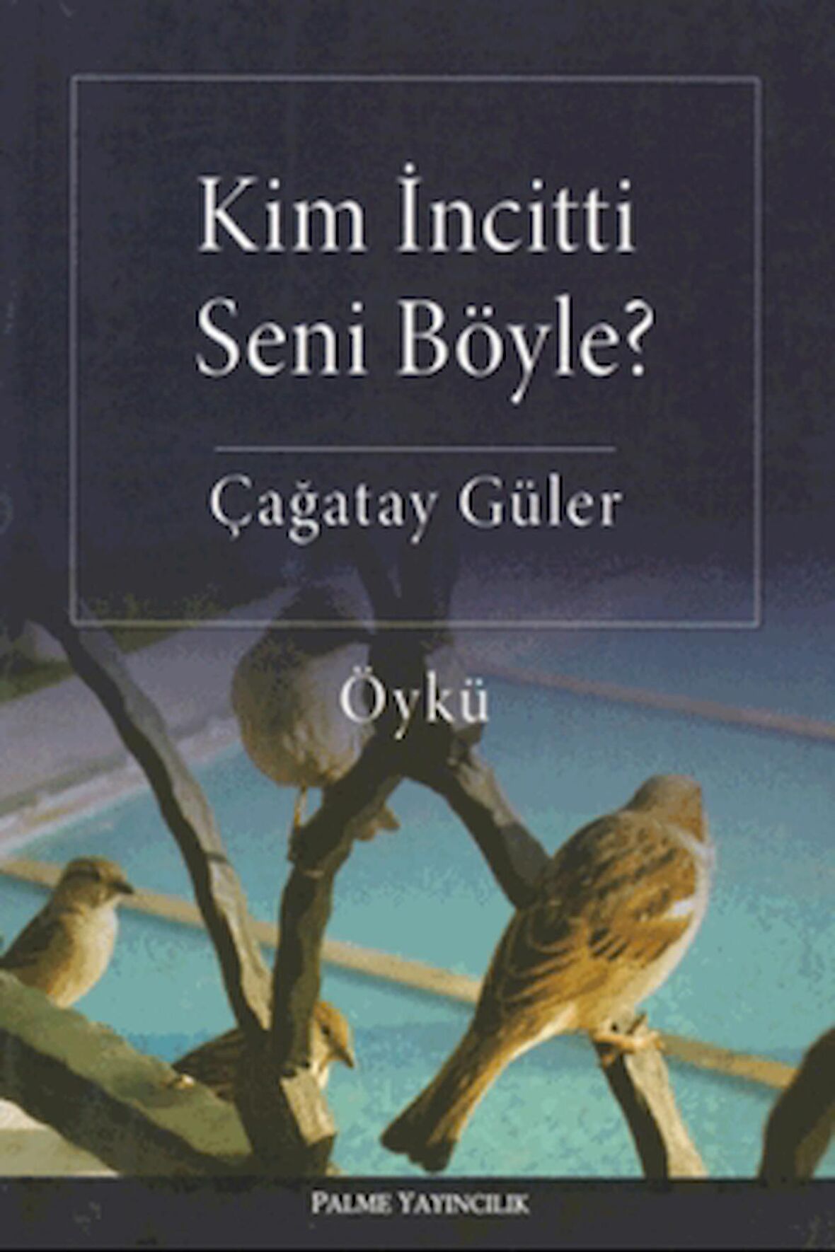 Kim İncitti Seni Böyle?