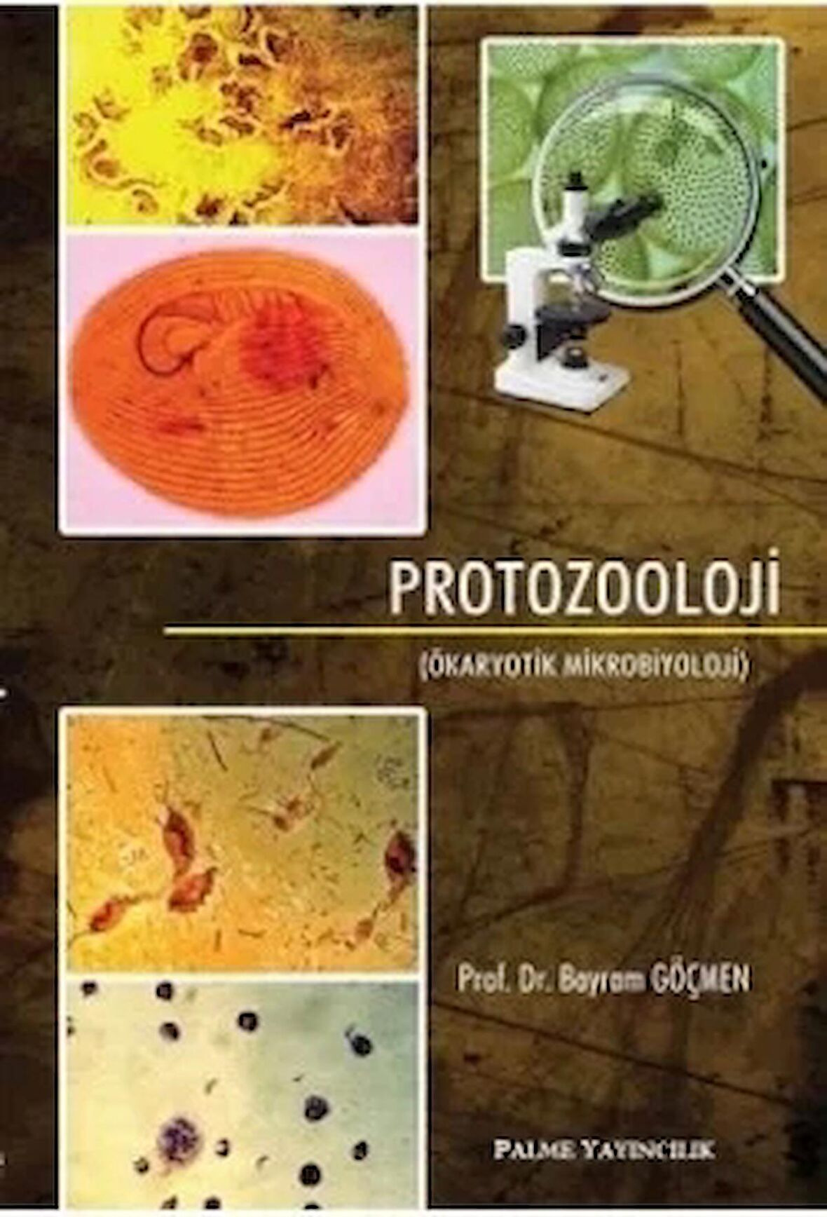 PROTOZOOLOJİ