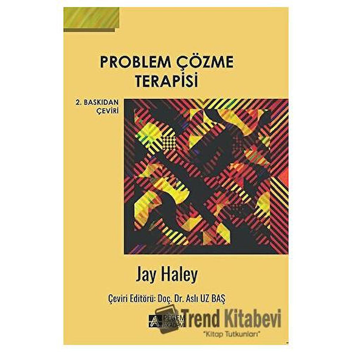 Problem Çözme Terapisi