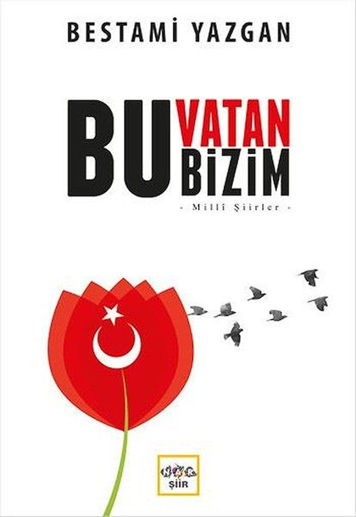 Kitap: Bu Vatan Bizim