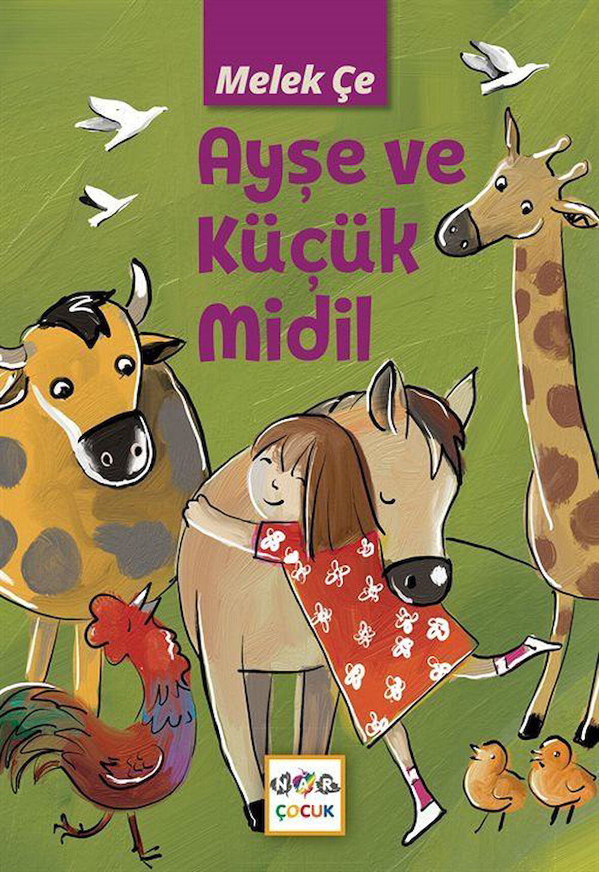 Ayşe ve Küçük Midil / Melek Çe