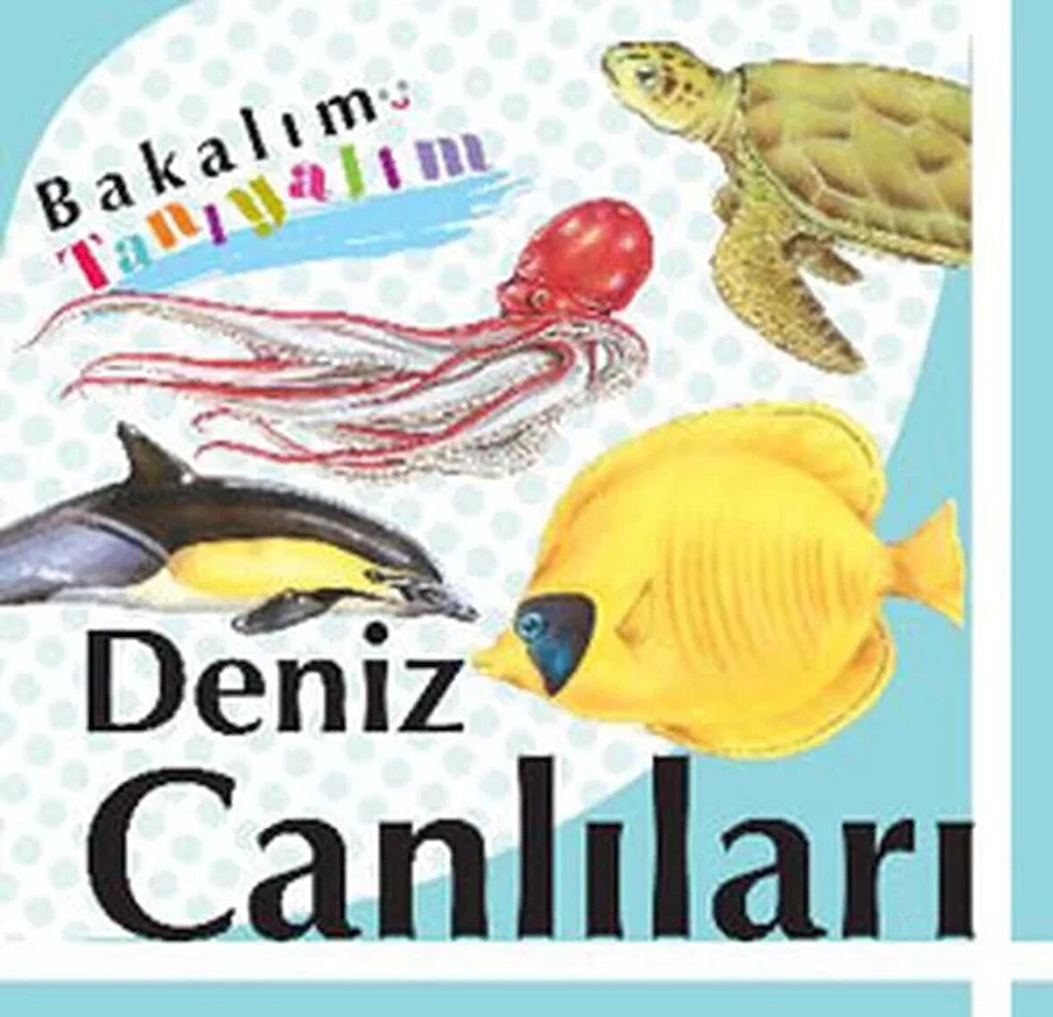 Bakalım Tanıyalım: Deniz Canlıları
