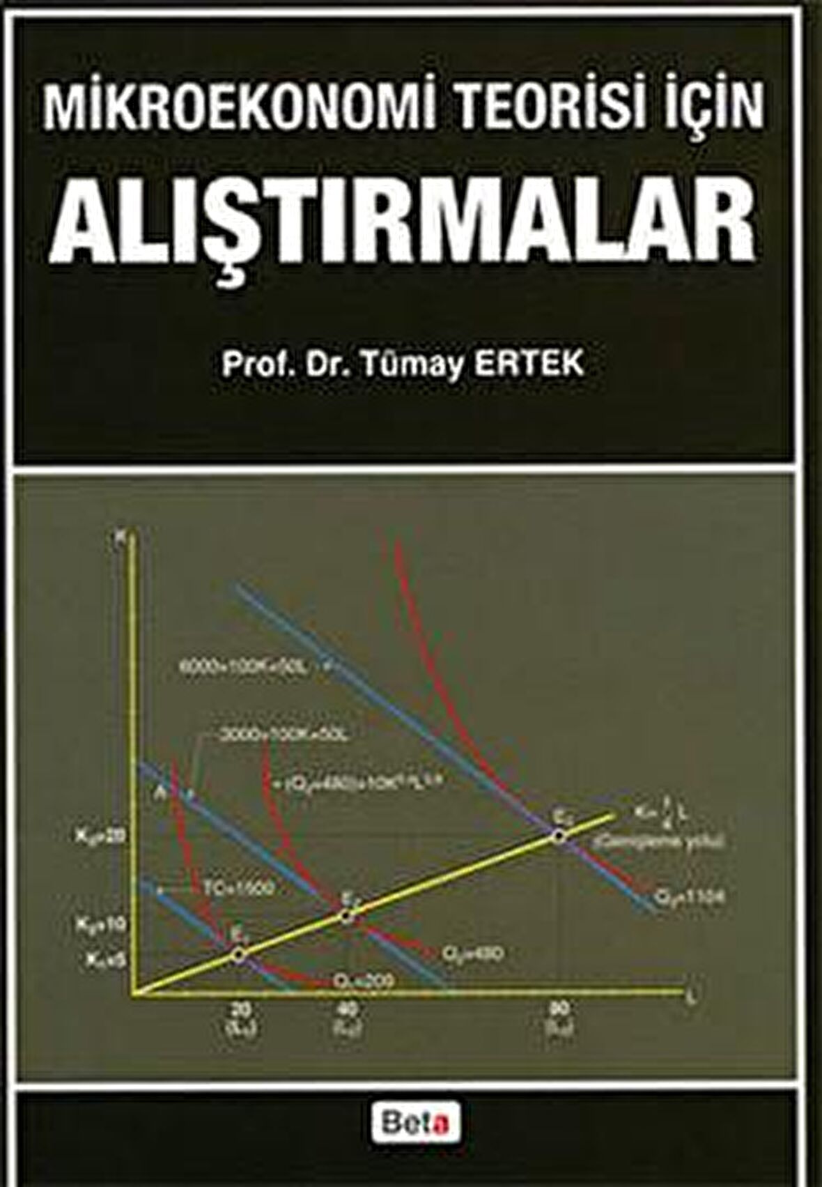 Mikroekonomi Teorisi için Alıştırmalar