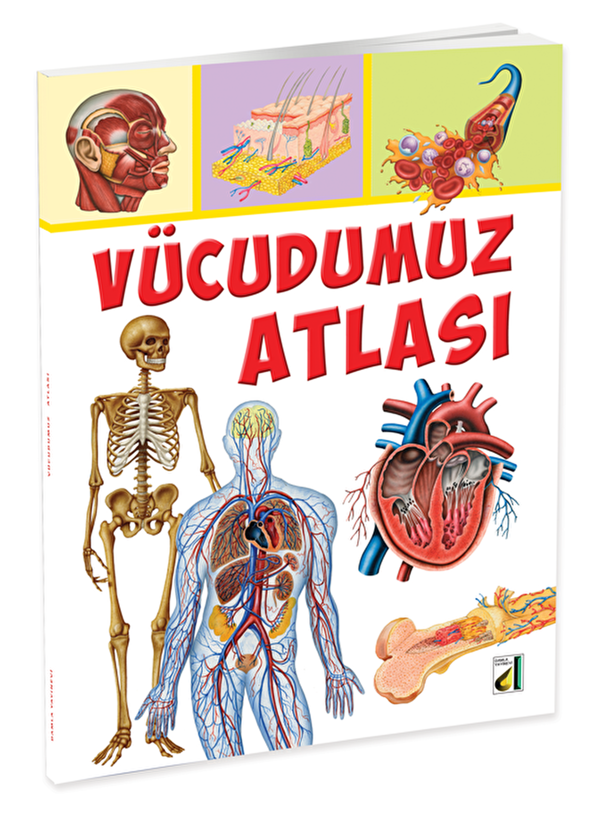 Vücudumuz Atlası