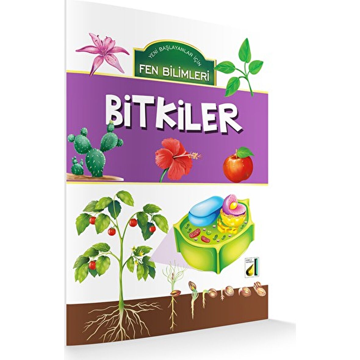 Bitkiler / Yeni Başlayanlar İçin Fen Bilimleri - Kolektif - Damla Yayınları