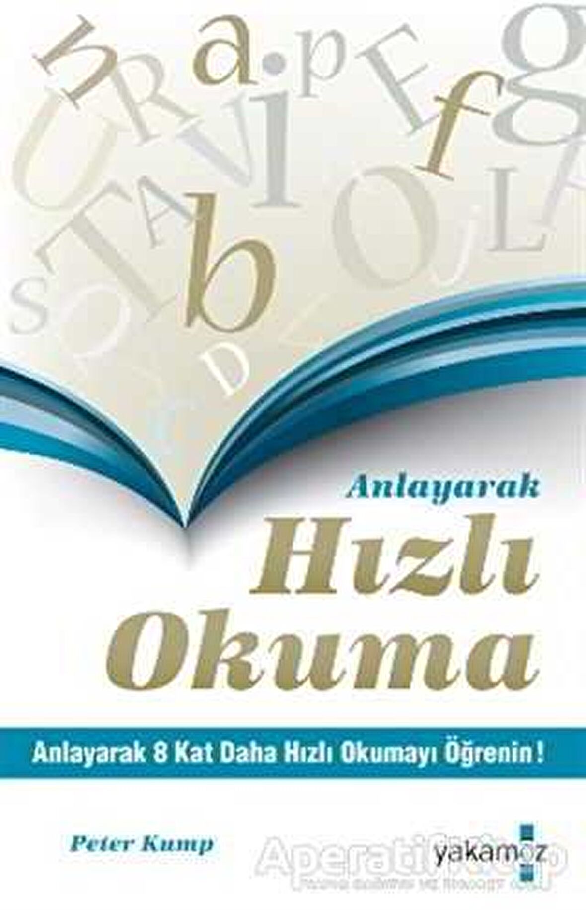 Anlayarak Hızlı Okuma