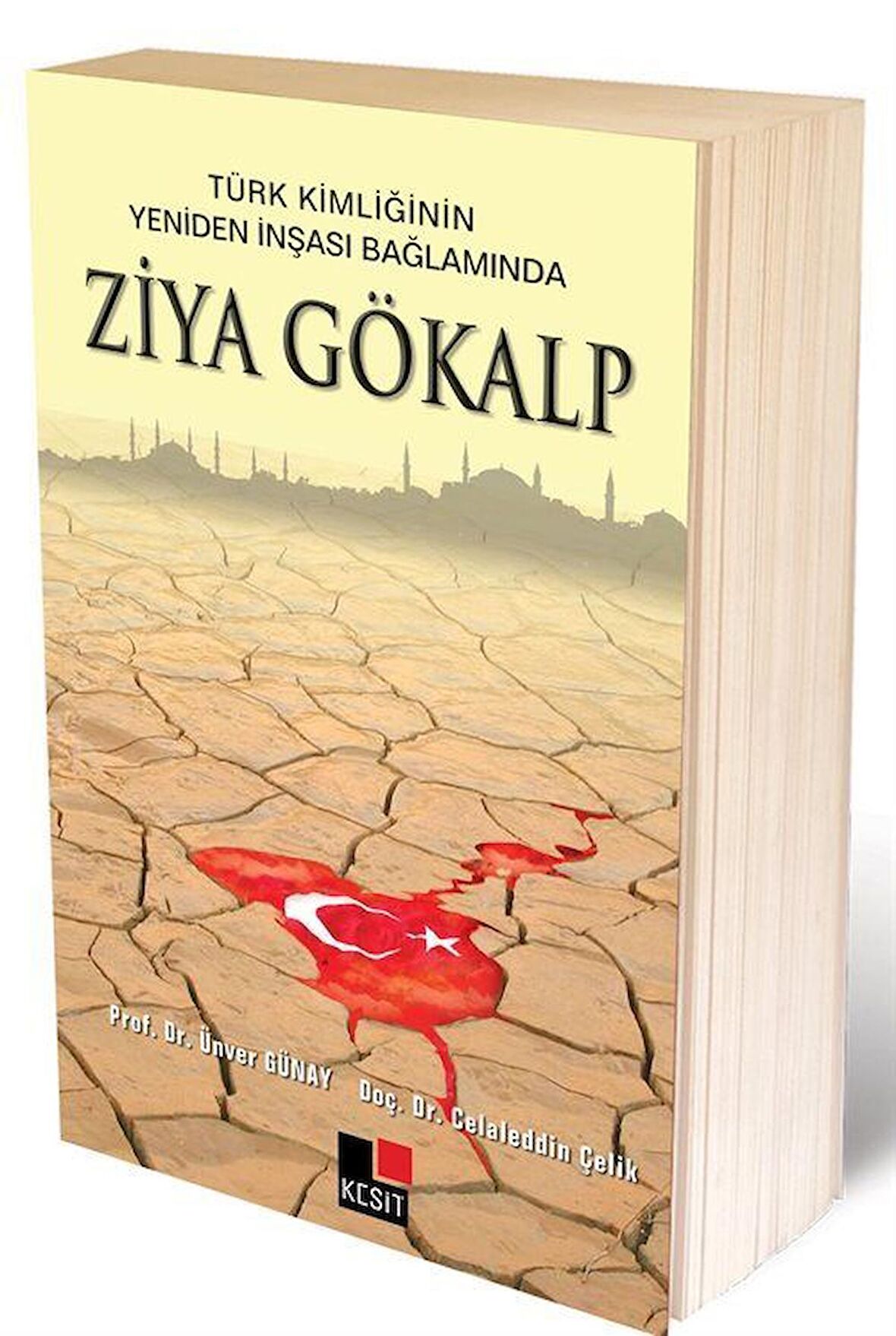 Türk Kimliğinin Yeniden İnşaası Bağlamında Ziya Gökalp