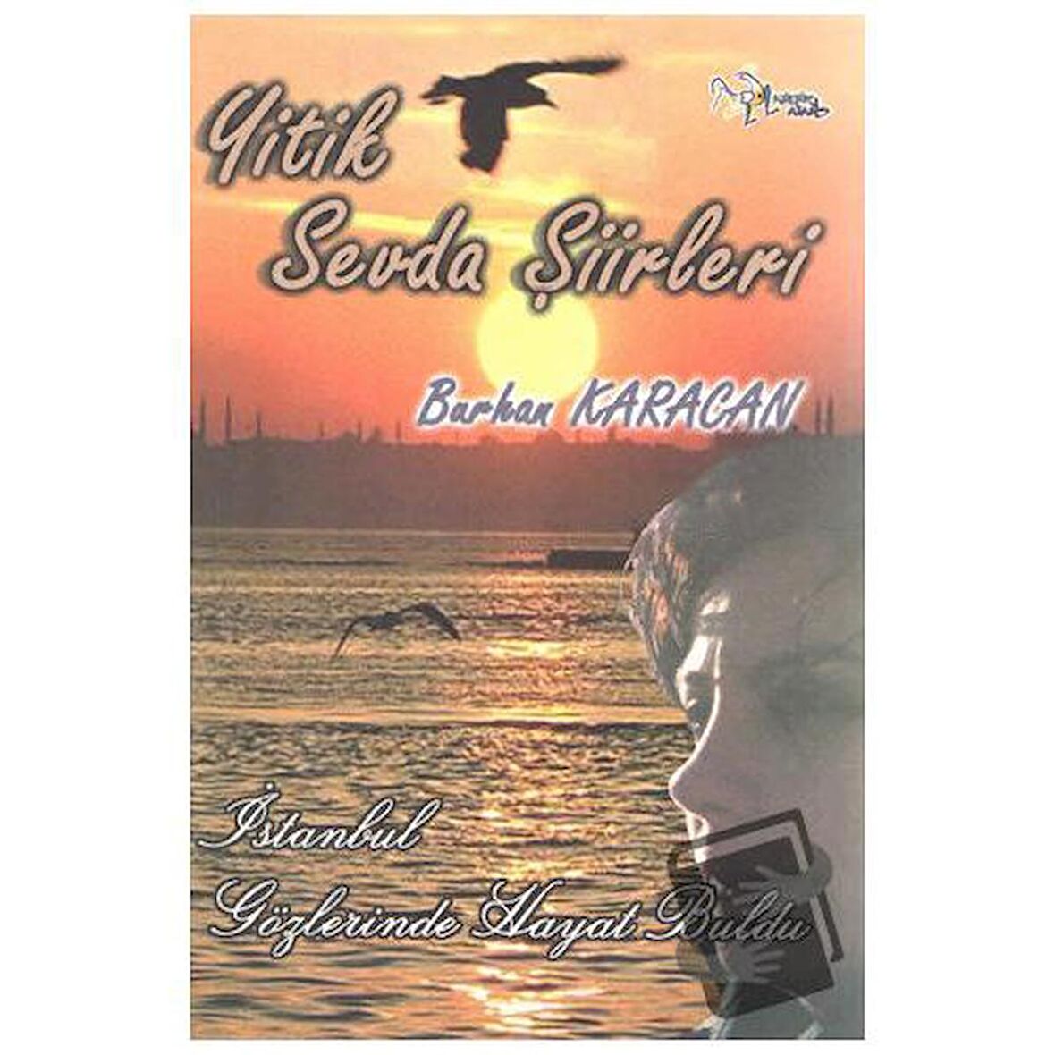 Yitik Sevda Şiirleri