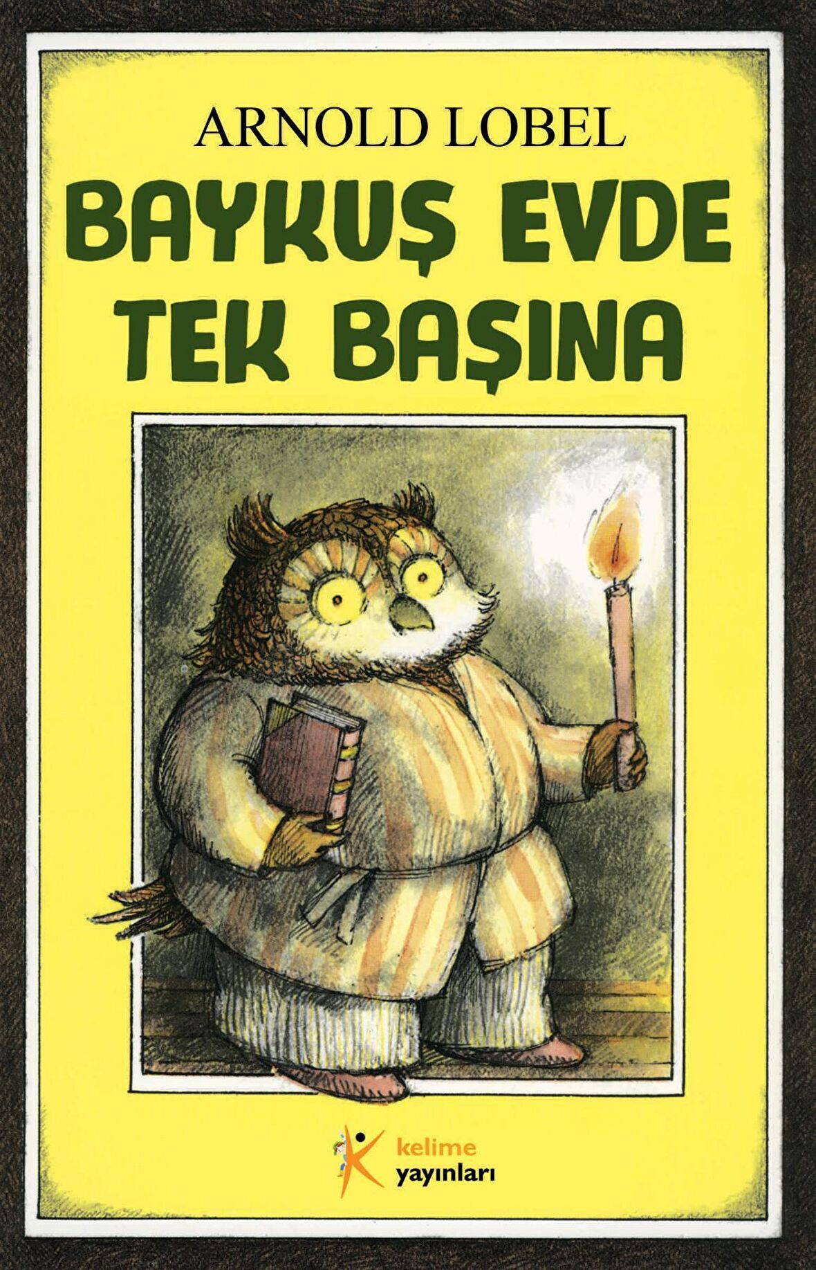 Baykuş Evde Tek Başına