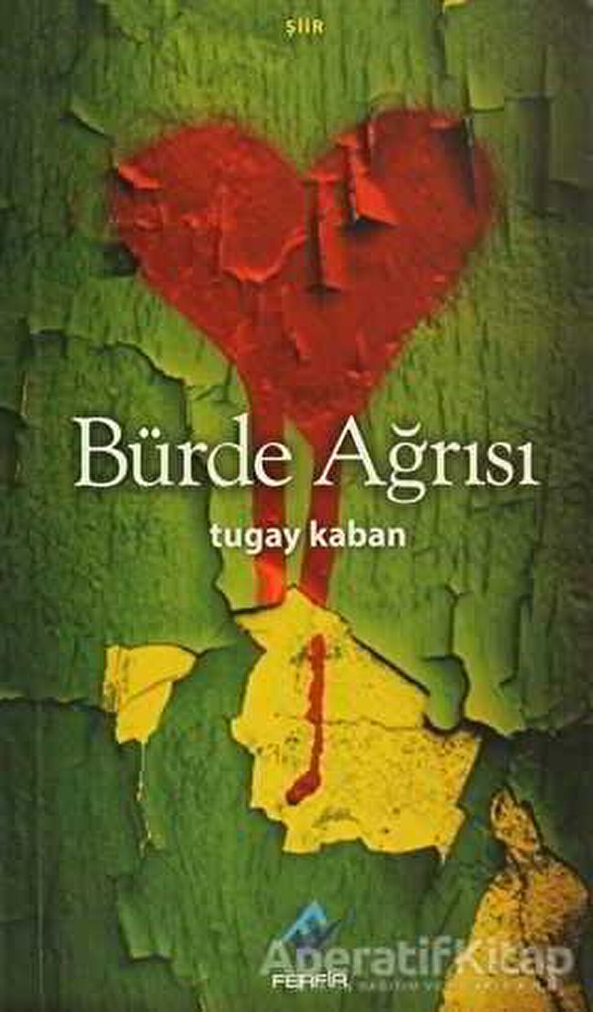 Bürde Ağrısı